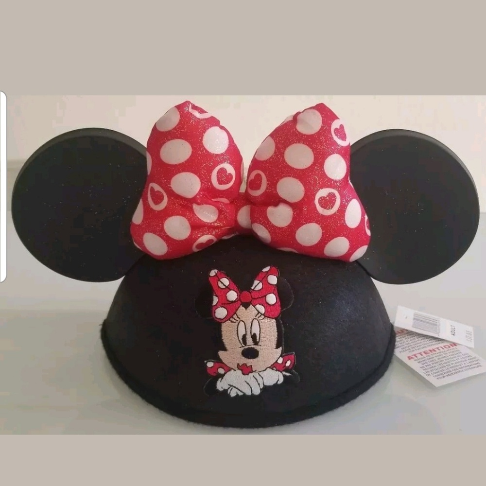 Disney Hat